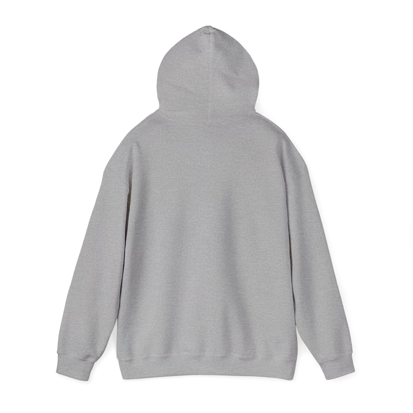 Portal Graphic Hoodie