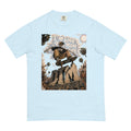 Chambray